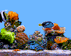 02.gif