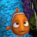 09.gif